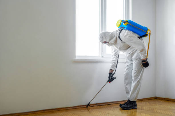 Reliable Ocoee, FL Pest Control Solutions